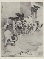 革命家